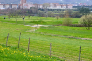 Golfplatz mit saftig grünem Rasen, hohen Bäumen, gelben Blumen im Vordergrund, Gebäuden und klarem blauem Himmel im Hintergrund sowie Menschen beim Golfspielen.
