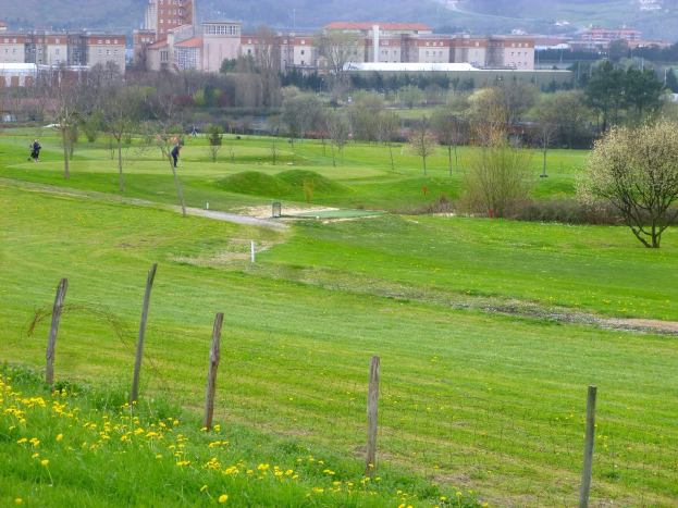 Golfplatz mit saftig grünem Rasen, hohen Bäumen, gelben Blumen im Vordergrund, Gebäuden und klarem blauem Himmel im Hintergrund sowie Menschen beim Golfspielen.