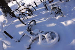 Eine Reihe von Fahrrädern, teilweise im Schnee vergraben, neben einem Baumstamm und einer Straße.