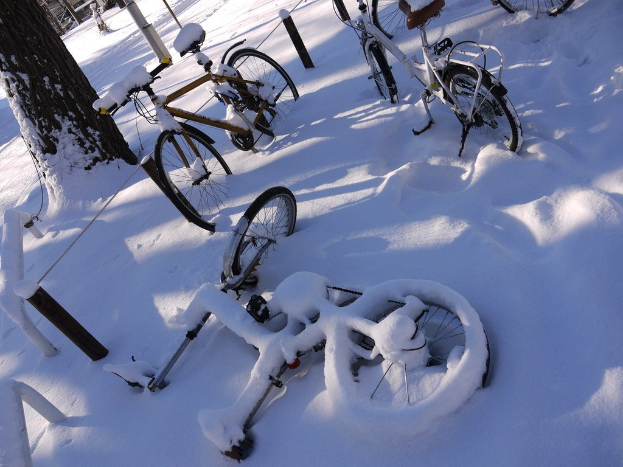 Eine Reihe von Fahrrädern, teilweise im Schnee vergraben, neben einem Baumstamm und einer Straße.