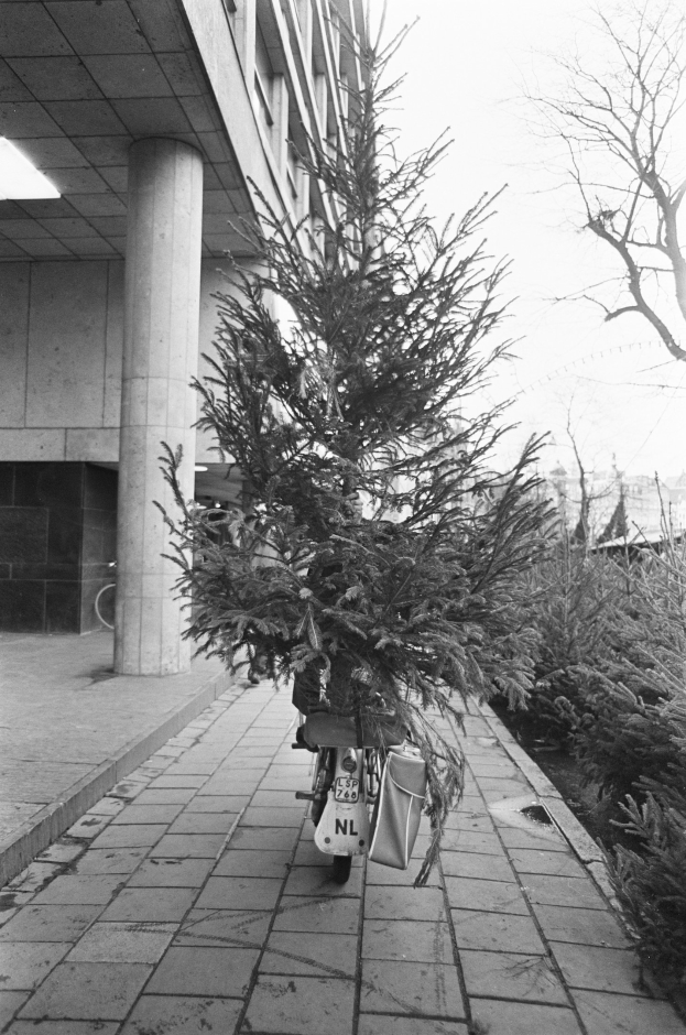 Schwarz-weiß-Foto eines Fahrrads mit einem Weihnachtsbaum auf dem Rücken, das vor einem Gebäude mit Säulen und Deckenleuchten geparkt ist, mit Pflanzen rechts und Gebäuden im Hintergrund.