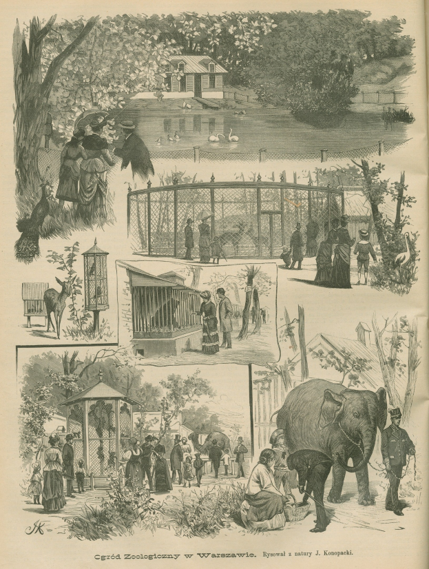 Alte Buchillustration mit Menschen und Tieren in einem Zoosetting, mit Bäumen, Häusern, einem Zaun und anderen Gegenständen, begleitet von Text unten.