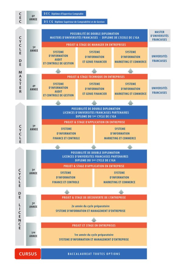 Diagramm, das die organisatorische Struktur eines Unternehmens mit interconnected boxes darstellt, die die Stufen des Geschäfts growths and developments repräsentieren, begleitet von beschreibendem Text.