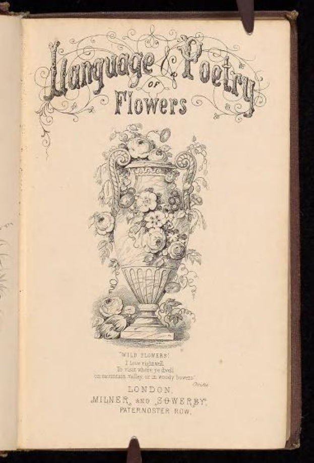 Offenes Buch mit dem Titel "Sprache und Dichtung der Blumen" (1867) von Milner und Sowerby, das eine Zeichnung einer Vase mit Blumen zeigt.