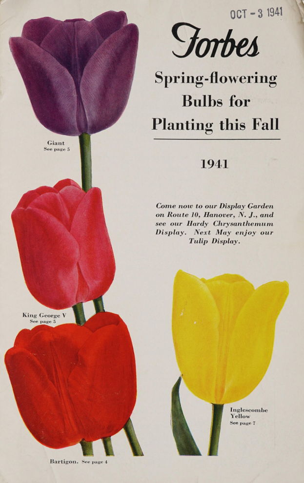 Plakat aus dem Jahr 1941 mit drei Tulpen in Rot, Gelb und Lila symmetrisch gegen einen weißen Hintergrund angeordnet mit dem Text "Forbes Frühlingsblüher für die Pflanzung in diesem Herbst 1941" oben.