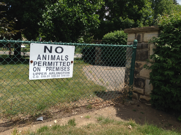 Ein Schild an einem Kettenzaun trägt die Aufschrift "Keine Tiere erlaubt" mit saftigem Grün im Hintergrund, Pflanzen und Bäumen, einer Wand und einem klaren blauen Himmel.