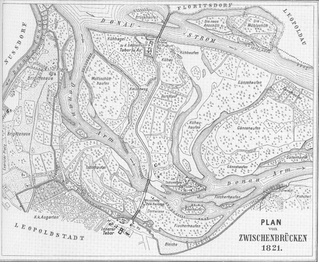 Schwarze und weiße Karte der Stadt Zwischenbrücken aus dem Jahr 1821, die detaillierte geographische und textuelle Informationen zeigt.