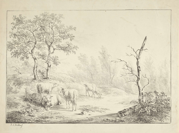 Eine bewaldete Landschaft mit einer Schafherde im Vordergrund, umgeben von Bäumen und Pflanzen, und Text unten.