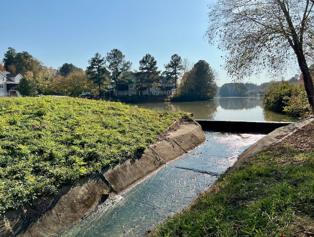 Kleiner Bach, der durch ein grünes Feld neben einem Gewässer fließt, mit Bäumen und Pflanzen auf beiden Seiten, Gebäuden im Hintergrund und einem klaren blauen Himmel.