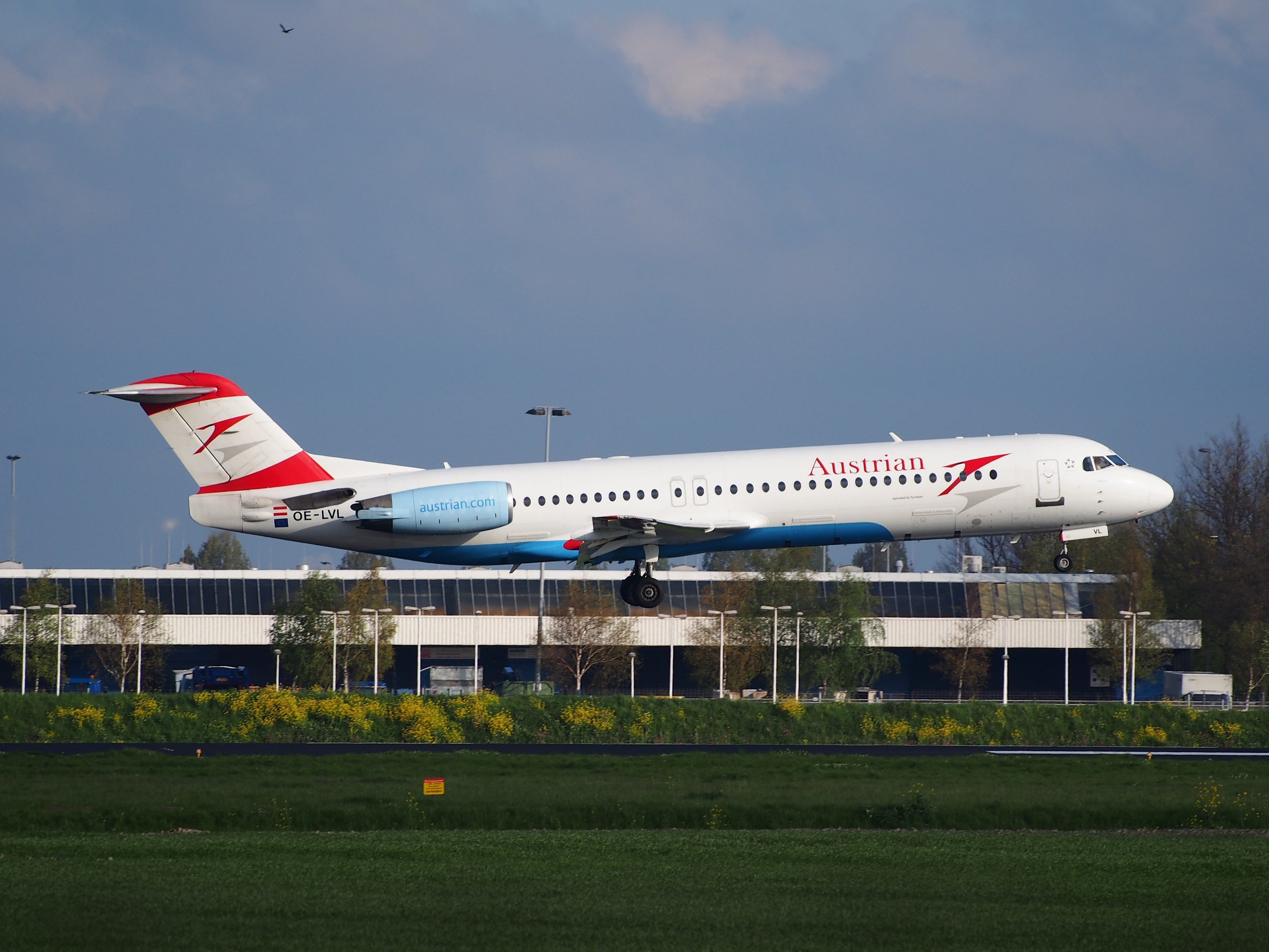 Austrian Airlines Airbus A320-200 startet von Frankfurt Airport mit Grünfläche, Gebäude und bewölktem Himmel im Hintergrund.