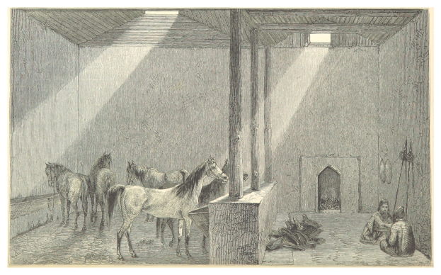 Eine bunte Zeichnung eines Raums mit zwei Pferden, zwei sitzenden Personen auf dem Boden und verschiedenen verstreuten Gegenständen, mit Text unten.