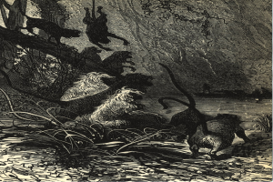 Alte Werbeplakat mit einem Löwenkopf mit wildem Ausdruck und wallender Mähne, mittig mit dem Text 'Löwe'.