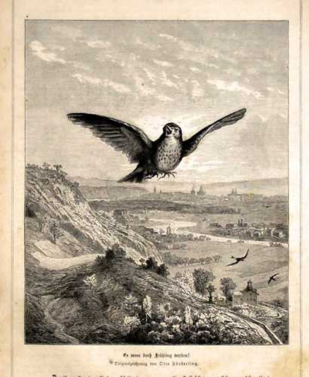 Gravur eines Wanderfalken im Flug über einen Hügel mit Bäumen und Gebäuden, Flügel gespreizt und Federn gesträubt, mit Text unten.