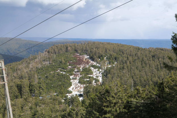 Luftaufnahme von einem Ski lift aus auf einen schneebedeckten Wald hinab, mit einem Pfahl und Drähten im Vordergrund und einem bewölkten Himmel im Hintergrund.